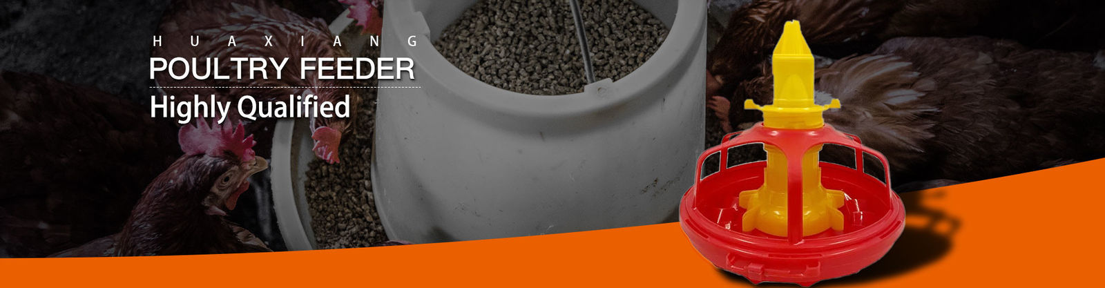 Bebedouro Alimentador de Aves