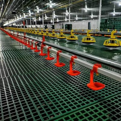 Equipamento de criação de galinhas HX 4 furos / tubo de alimentação de 3040 mm