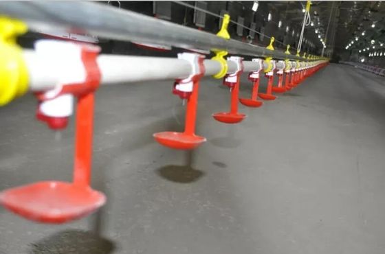 Sistema automático de bebedouro de mamilo de galinha pombo choca para fábrica