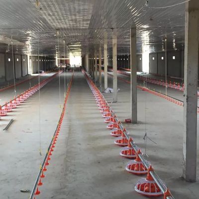 380V 50hz 3 Fases Equipamento de Avicultura para Alimentação de Frangos de Piso