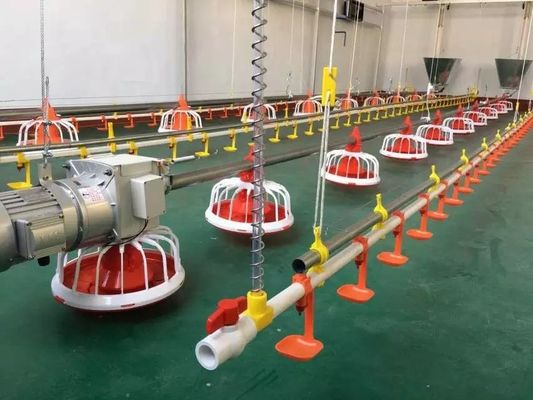 Diâmetro 60mm Máquina de alimentação para granjas de aves em aço galvanizado