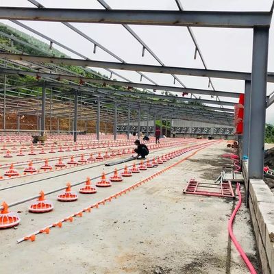 Máquina de avicultura de diâmetro 45mm aço galvanizado para produtos de frangos de corte