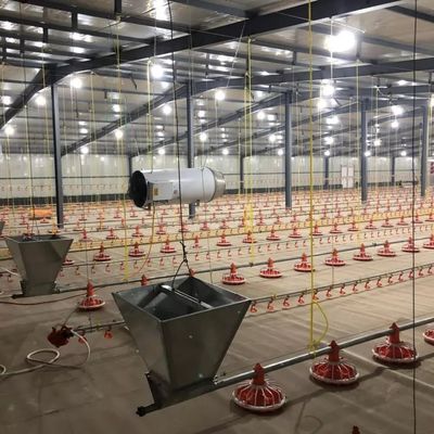 4 bandejas/3m 3 bandejas/3m Sistema de alimentação de bandejas para frangos de corte Garantia de 1 ano