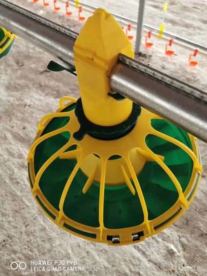 Bandejas de alimentação para frangos de corte com 15 grelhas