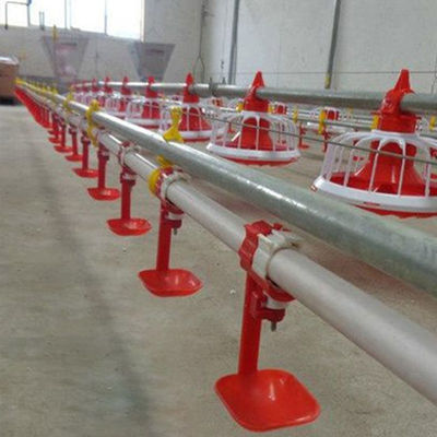 Equipamento de avicultura 380v 3 bandejas/sistema de alimentação automática de bandejas de 3m