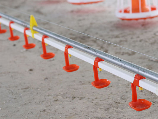 Material PP Alimentador automático de aves para frangos de corte Certificação CE