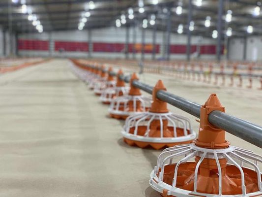 Comedouros e bebedouros plásticos para equipamentos de criação de aves 14/16