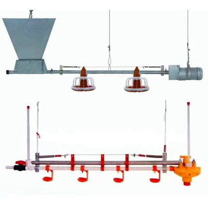 Linha de alimentação de frango totalmente automática de 450 kg/h com funil tubo galvanizado
