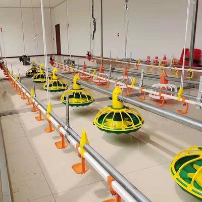Linha de alimentação de frango totalmente automática de 450 kg/h com funil tubo galvanizado