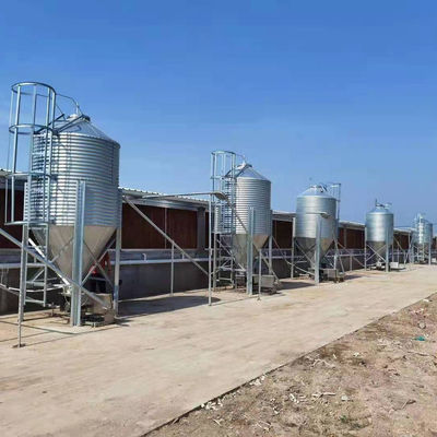 Silo de armazenamento de grãos galvanizados para pecuária e agricultura