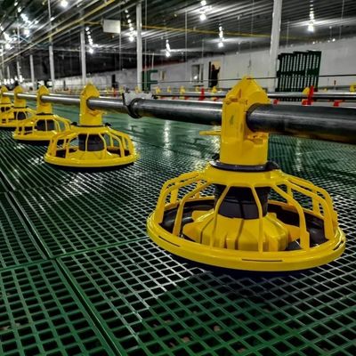 Equipamento de criação de frango gavanizado a quente para frangos de chão alimentador de aves