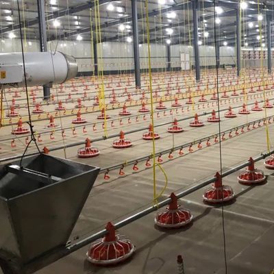 Sistema de alimentação automática para matrizes/frangos de corte 750w com garantia de 1 ano