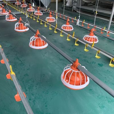 Alimentador Automático de Aves Diâmetro 25mm Para Frangos de Corte 10 Anos de Vida Útil