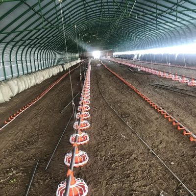 45-60 Equipamento para Avicultura de Frango 3 bandejas/3m Sistema de Alimentação para Avicultura