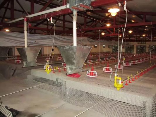 Certificação CE Frango Aves Equipamento Fácil Instalação