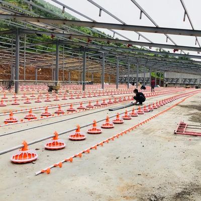 4 Panelas/3m Equipamento para Avicultura 380v Sistema de Alimentação Automática