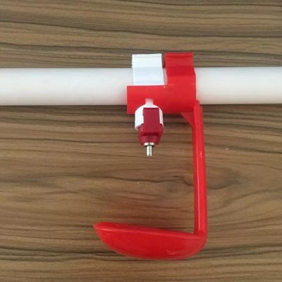 Bebedouro automático para mamilos de frango 5-10 pássaros 22*22 mm cano de água