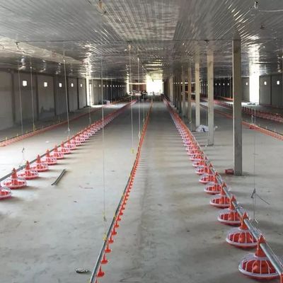 Sistema de alimentação de bandeja para máquina de criação de aves de tubo galvanizado com diâmetro de 45 mm