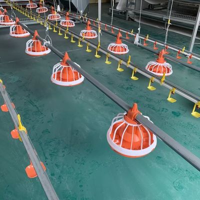 EO Feeding Poultry Farm Equipment Sistema de alimentação automática para aves de capoeira Garantia de 1 ano