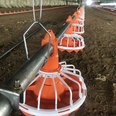 Sistema de alimentação de galinhas de 3 bandejas/3 m Fácil instalação Longa vida útil