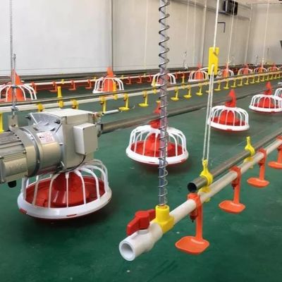 Alimentador automático de aves para frangos de corte 30 kg para equipamento de fazenda OEM