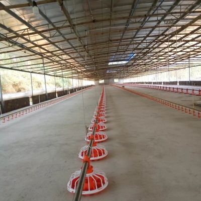14 Grid 16 Grid Linha de alimentação para equipamentos de avicultura para frango