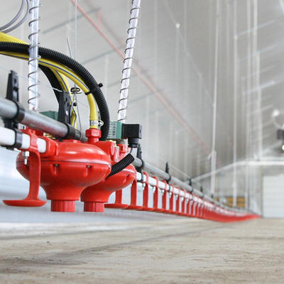 Comedouro e bebedouro de material plástico para aves com longo tempo de serviço