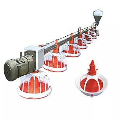 Espaçamento de bandejas de 0,75 m Máquina de avicultura 16 compartimentos por recipiente