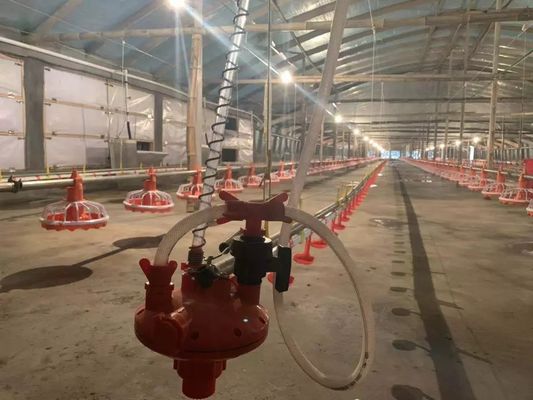 Alimentador de frango 4 panelas/3m 380v 0,75kw com dispositivo de acionamento